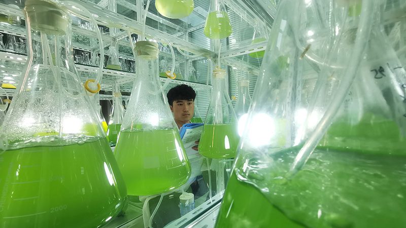 生物医药临床试验分期合规性要求解析