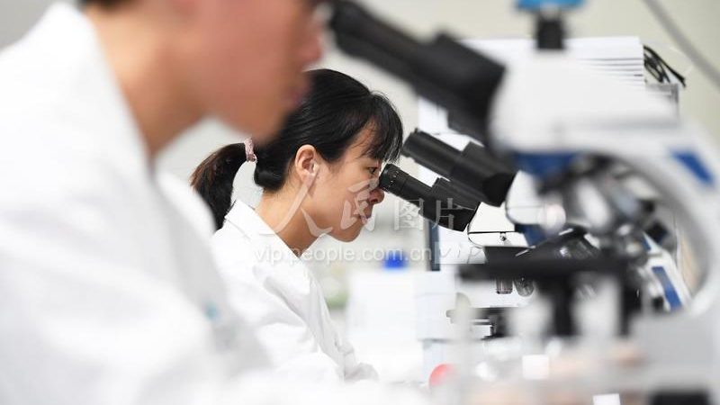 CDMO定制研发：揭秘技术转移流程中的关键步骤
