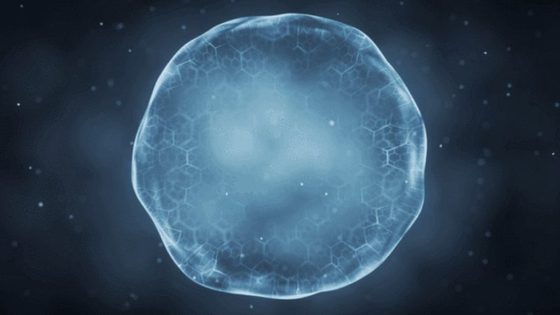疫苗类生物制品出口注册流程解析