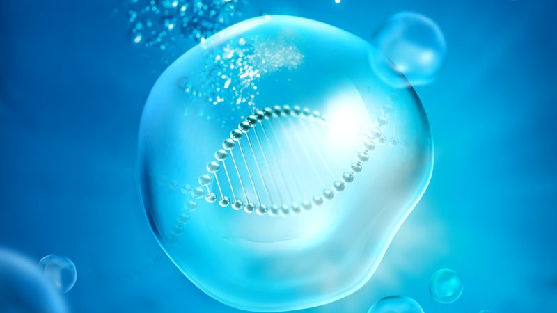 生物科技产品厂家直销：揭秘背后的真相与误区