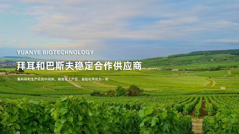 上海生物制品采购价格查询系统：揭秘其背后的价值与挑战**