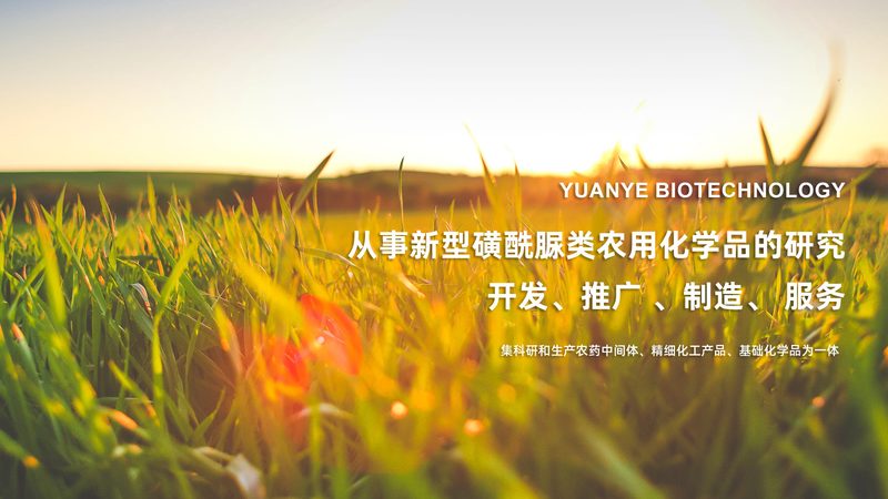 生物试剂保存，温度真的那么重要吗？**