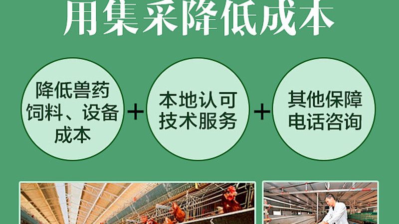 免疫检测试剂怎么选