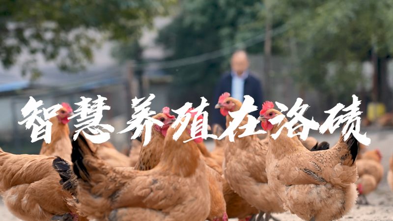 生物医药临床试验分期全解析：流程与要点